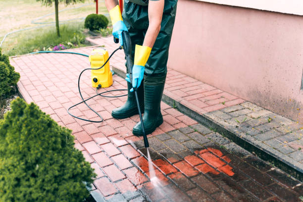 Best Roof Washing  in South Coventry, CT
